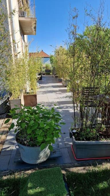 Gite La Passerelle Apartment Ostheim Exterior photo